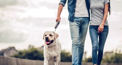 Fogyás sétával? Ezzel a trükkel lehetséges