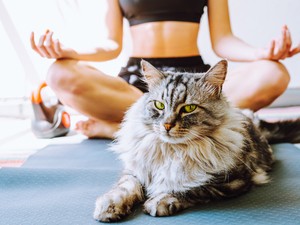 A négy leghatékonyabb légzőgyakorlat a stressz kezelésére