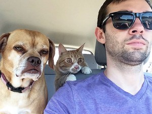 Nagyon vicces! Így reagálnak a kutyák, amikor rájönnek, hogy állatorvoshoz viszik őket!