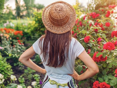 Ezt a hibát soha nem követné el a kerttervező, tiéd lesz a környék legszebb udvara, ha hallgatsz rá 