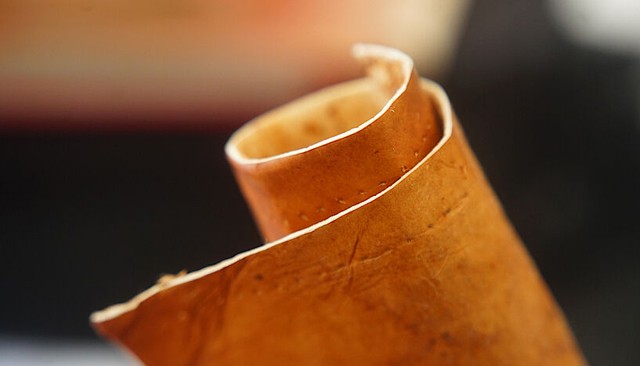 Gombából készít vegán bőrt egy bécsi kutatócsapat