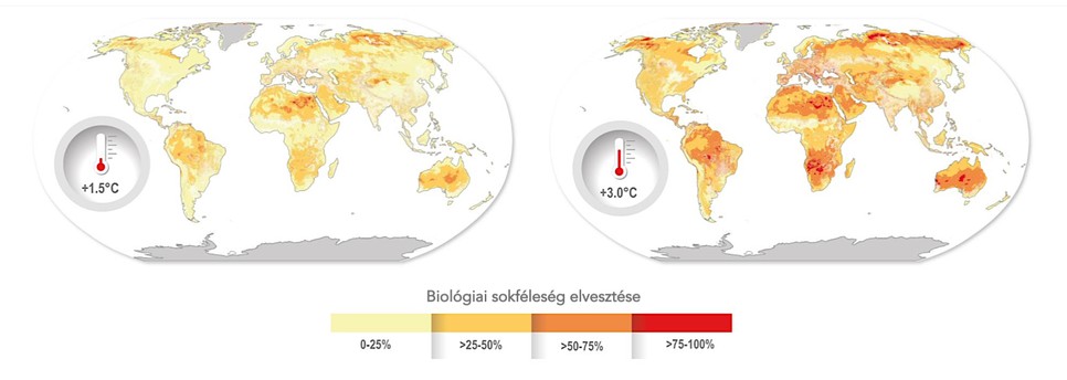 Eltűnő biológiai sokféleség 1,5°C és 3°C globális felmelegedés esetén (Forrás: IPCC AR6 WGII, fordítás: a szerző)