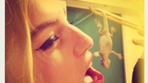 Axente Vanessa kalandjai Szingapúrban #1