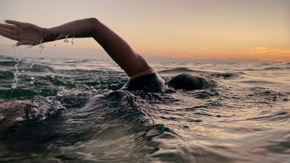 Elsőre nem is gondolnánk mennyi fizikai munka áll emögött, és mennyi mentális hozadéka van a rendszeres sportnak, hiszen a Balaton-átúszás nem csupán erről az egy napról szól.