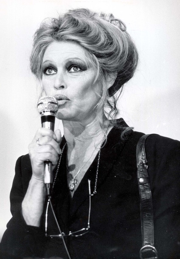 Brigitte a 80-as évek végén már javában csak állatvédelemmel foglalkozott, eddigre a színészetet teljesen feladta. Melírozott hajában bátran megtartott ősz tincseket is, és dívás (de laza) kontyban fogta össze. Ez már egy idősödő nő vonzó frizurája volt. 