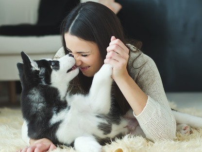 Háziállat a hosszú élet titka! A kisállatok 5 jótékony hatása! 