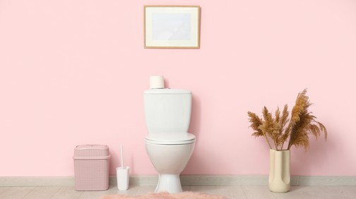 A nagymamáink tudták: ezért nem szabad soha nyitva hagyni a WC-ülőkét éjszakára