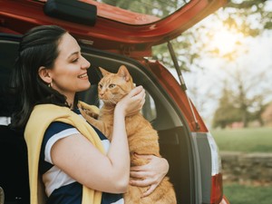 Nyaralni indulsz a cicáddal? Így könnyítheted meg számára az utazást!