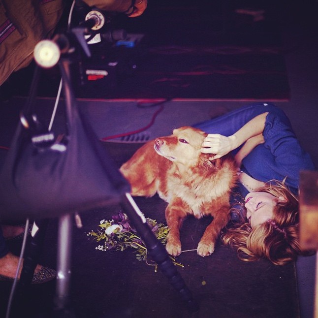 A Reynolds-Lively család másik kedvencét aligha nevezheti bárki kiscicának. A Baxter névre hallgató életmentő kutyust sokan irigyelhetik jóképű gazdija miatt. Az elképzelés ellenére azonban Baxter élete sem egy habostorta. Bennfentesek szerint Blake kutyusa Penny ugyanis nem bírja elviselni Baxter jelenlétét, és amikor csak tudja, megkeseríti mindennapjait. Ryan és Blake számára is nagy kihívás, hogy a két eb megkedvelje egymást. Úgy látszik Pennyre igaz a mondás: kicsi a bors, de erős. 