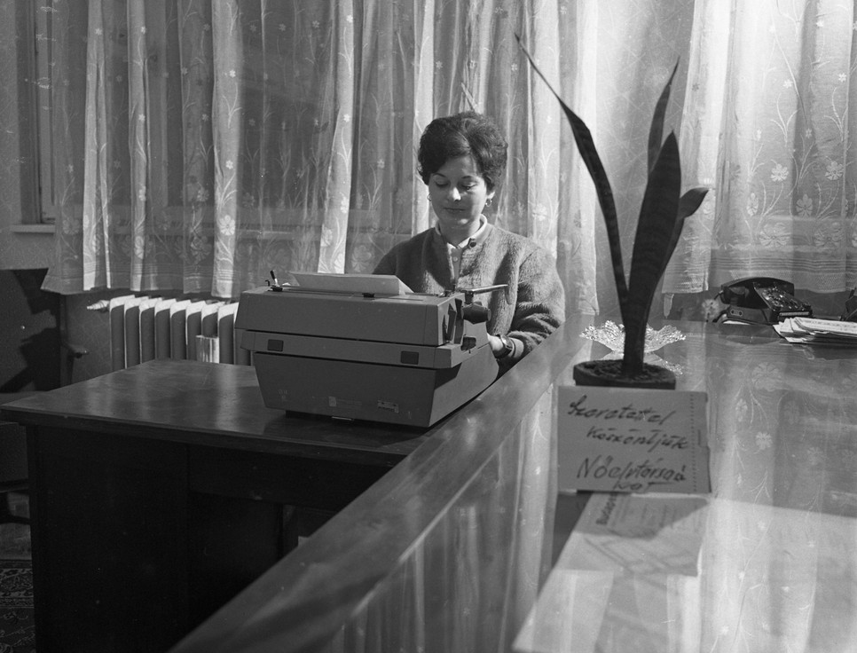 A nőnapi virág kísért