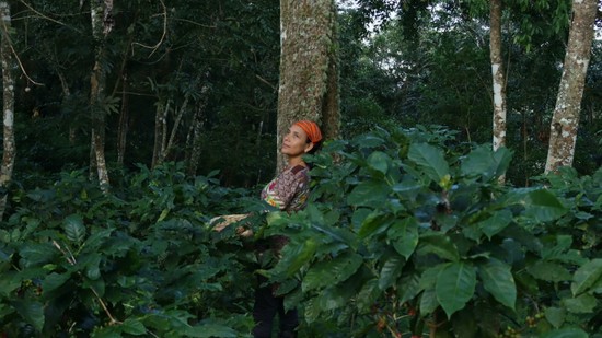 „A környezettudatos életmód nem jár áldozatokkal” - exkluzív interjú Ruth Andrade környezetvédelmi stratégiai vezetővel