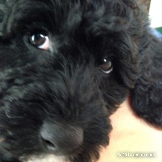 Az első fotó Mila Kunis és Ashton Kutcher kislányáról!