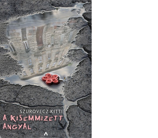 Singh Viki ezt a könyvet ajánlja a hétvégére: úgy véli minden nőnek kötelező