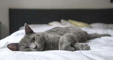 A feng shui szerint ilyen a tökéletes hálószoba