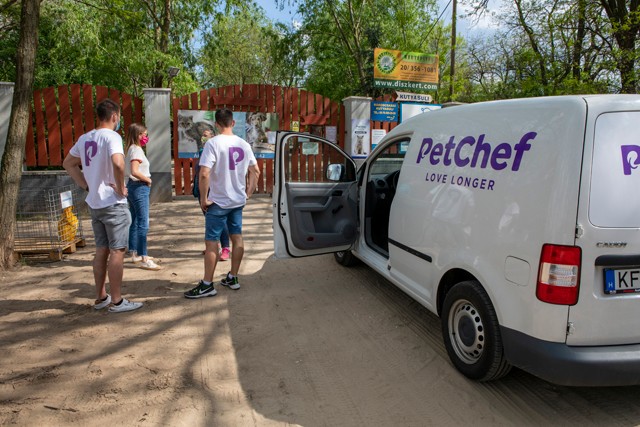 Támogassuk a rászoruló négylábúakat a járvány idején is