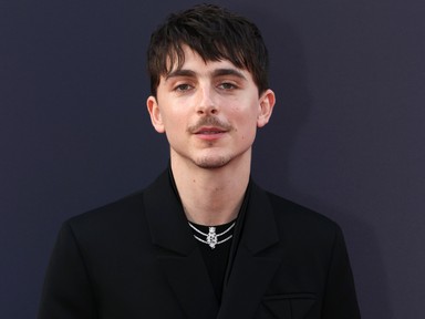 Különös teória terjed Timothée Chalamet-ról, a rajongók próbálják lebuktatni a színészt