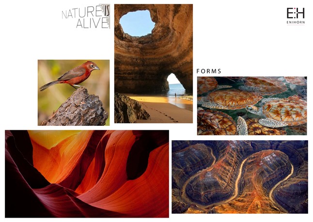 Friss tehetség a láthatáron: Enihorn