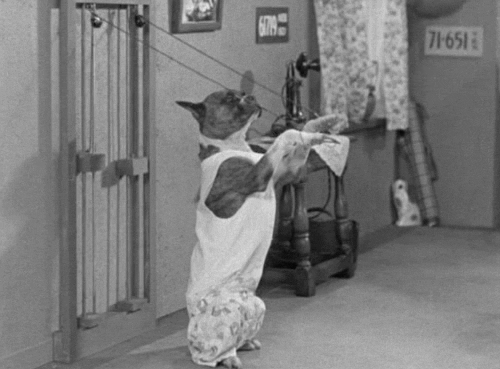 5 újévi fogadalom, amit bárki be tud tartani