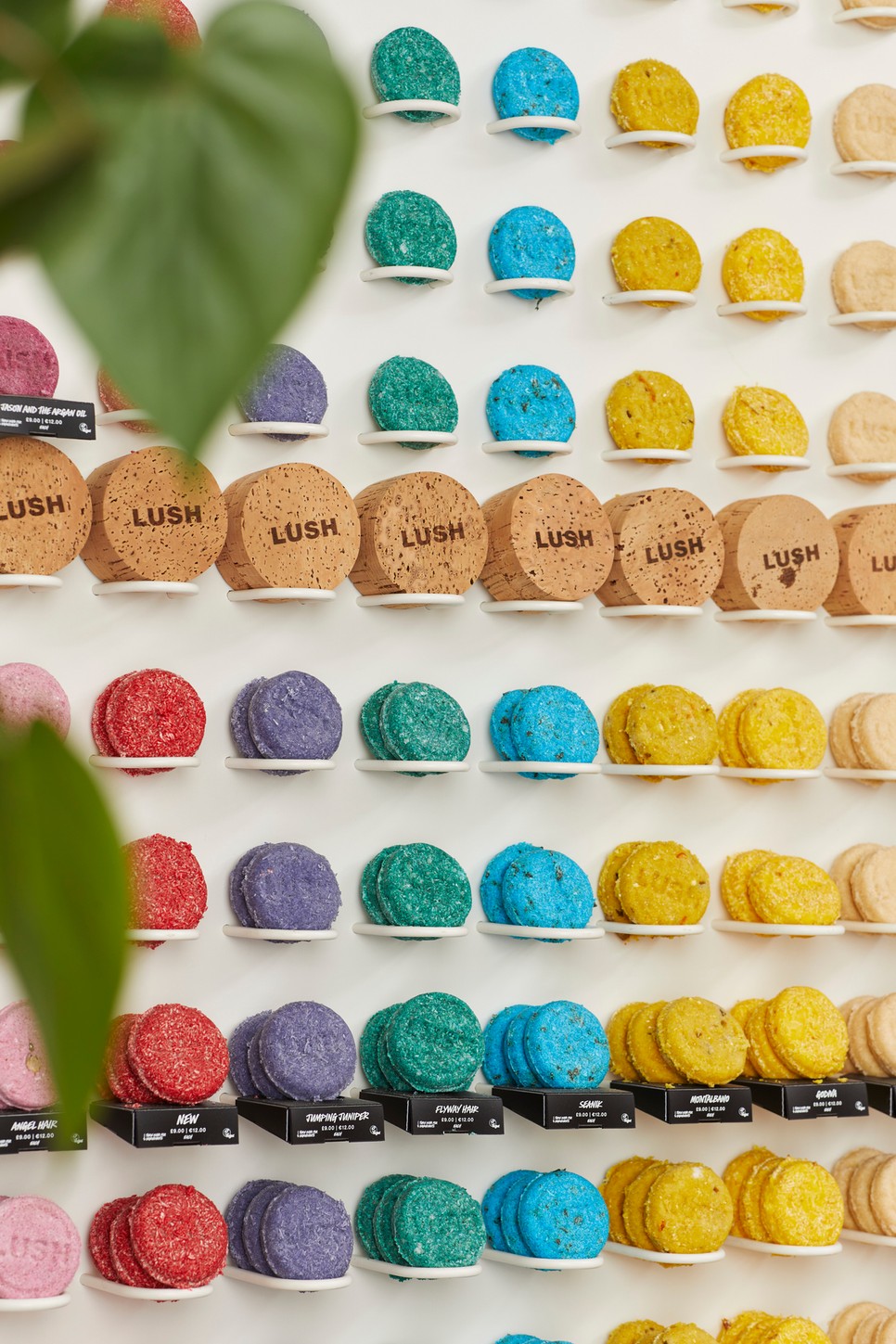 A Lush szilárd samponjai műanyag csomagolás mentesek, és mindenki megtalálja közöttük a számára legmegfelelőbbet