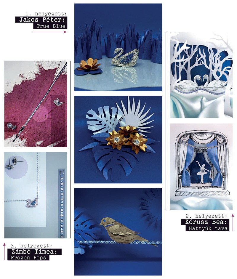 Fókuszban a fiatal tehetségek