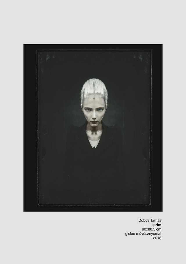 dobos tamás, u, kiállítás, next galéria, divatfotós