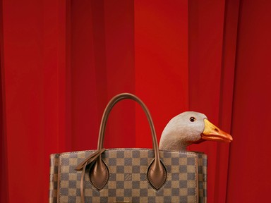 Az aranytojást tojó lúd