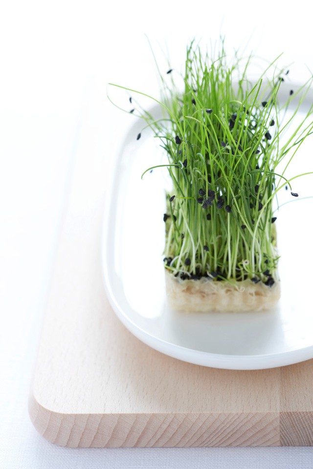 Egészséges ételek: 30 superfood, amitől még szebb leszel