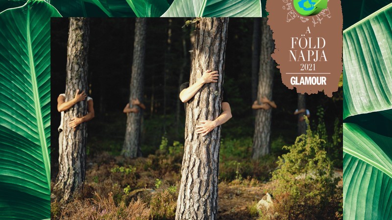 Milyen hatással van a klímaváltozás hazánk erdőire? Dr. Aszalós Réka erdőökológust kérdeztük