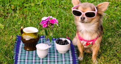 Ezek a növények az egekbe tolják a boldogsághormonjaidat