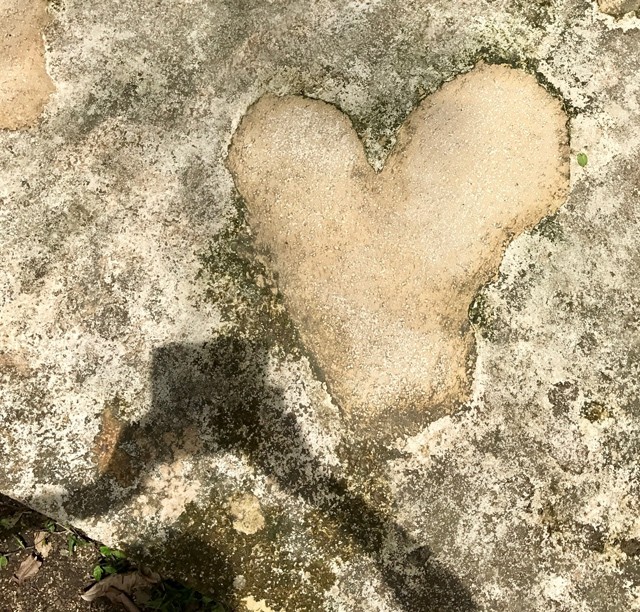 Vajon melyik a jó út?