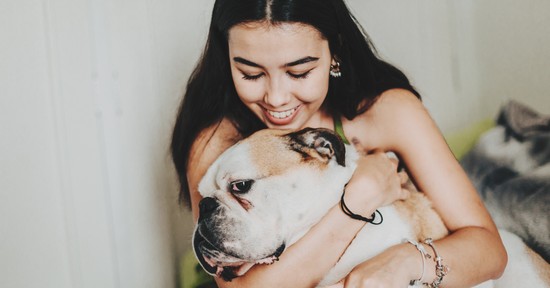 A helyzet nem is lehetne rosszabb, évente több tízezer kutya kerül utcára itthon