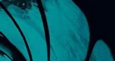 Adele: Skyfall - íme az új kislemez borítója