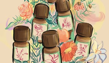 Az illóolajok titkos szuperképességei, amiket még a nagymamáink sem ismernek