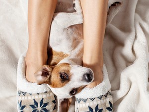 Egy új mamusz most különösen jól jön: a legkényelmesebbek, legmelegebbek egy helyen