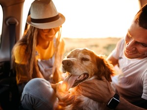 A kutya, mint “próbagyerek” - tényleg fel lehet készülni a gyerekvállalásra egy kisállattal?