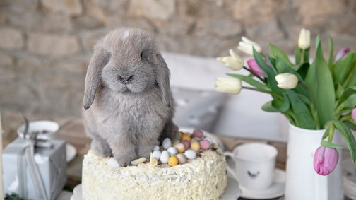 Nyuszik mindenhol: íme a legédesebb húsvéti dekorációk