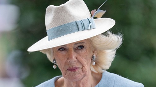 Kamilla királyné titkos üzenete mindent elárul arról, mit gondol András herceg visszalépéséről