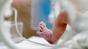 Világszerte hat-nyolc százalékra tehető a koraszülés aránya