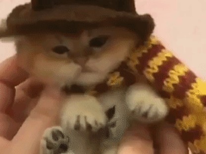 Ez a Halloween jelmez illik hozzád leginkább a csillagjegyed alapján