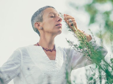 Filléres gyógynövény, ami az Alzheimer-kórt is segít megelőzni: csökkenti a szorongást és javítja az alvás is