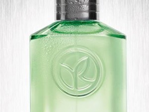 Parfümújdonságok férfiaknak!