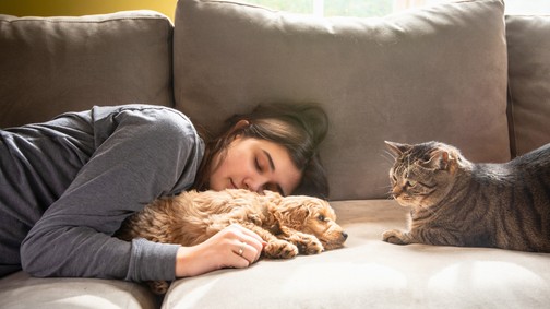 Kutyás vagy macskás ember vagy? A pszichológus szerint sokat elárul rólad