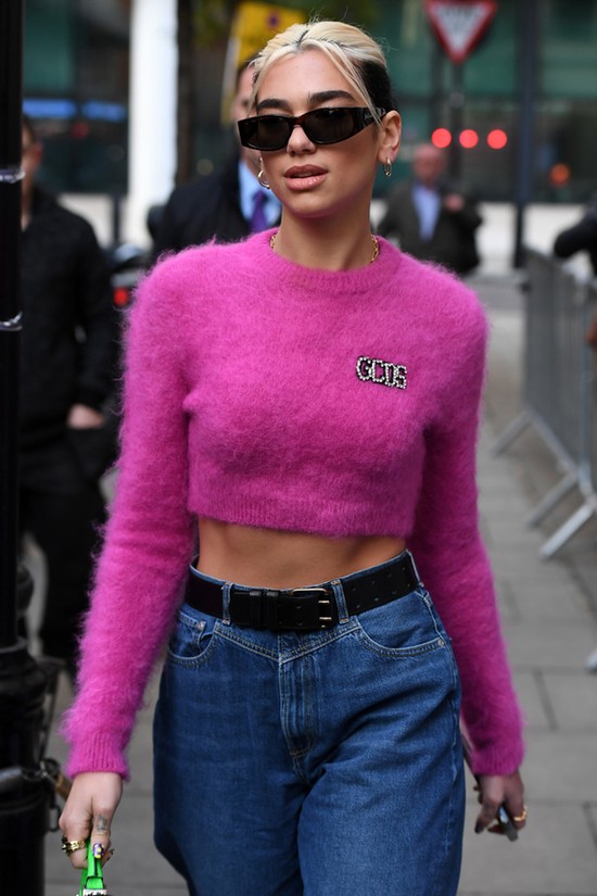 Dua Lipa: ˝A közösségi média a gyűlölet és a szorongás bölcsője˝