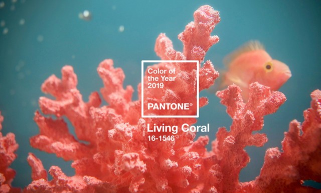 Ez lesz 2019 színe: imádni fogod