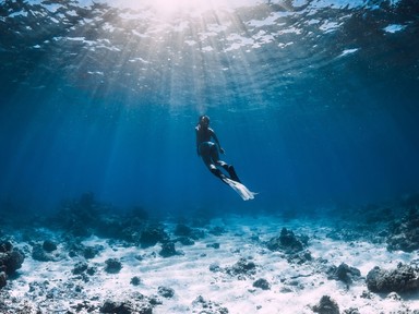 A La Mer fontos problémára hívja fel a figyelmet az Óceánok világnapján