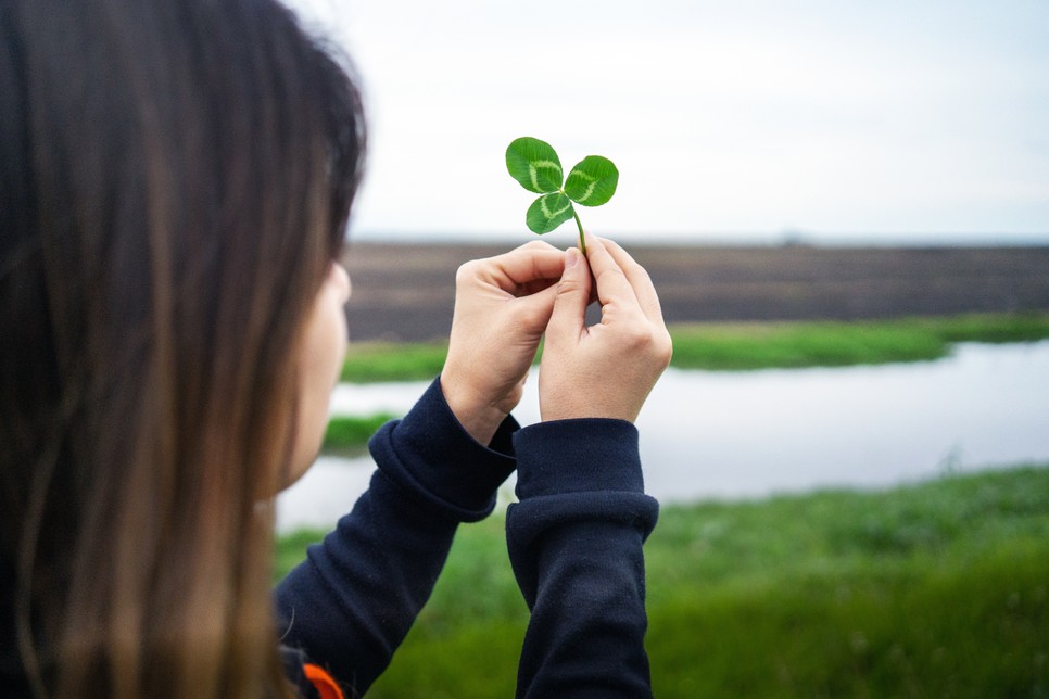Egyes álláspontok szerint nincs is szükség negyedik levélre ahhoz, hogy egy lóhere szerencsét hozzon
