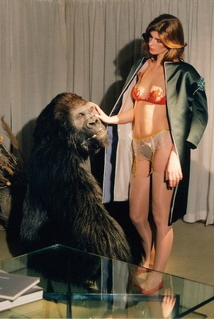 divatanyag, rémálom, Vogue, erotika, szürreális