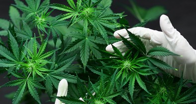 7 szépségtrend 2020-ban, amit muszáj kipróbálnod