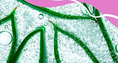 Az aloe vera 8 előnye, amiért érdemes a szépségápolási rutinodba beillesztened
