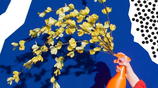 Zöld háztartás: környezetbarát és olcsó tisztítószerek otthonra